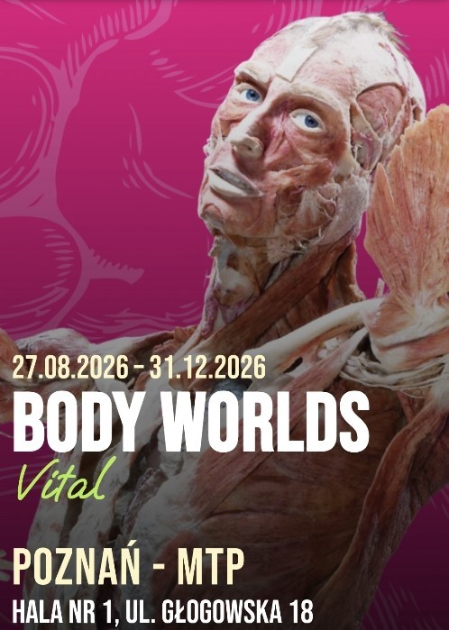 anatomia czlowieka w praktyce 1