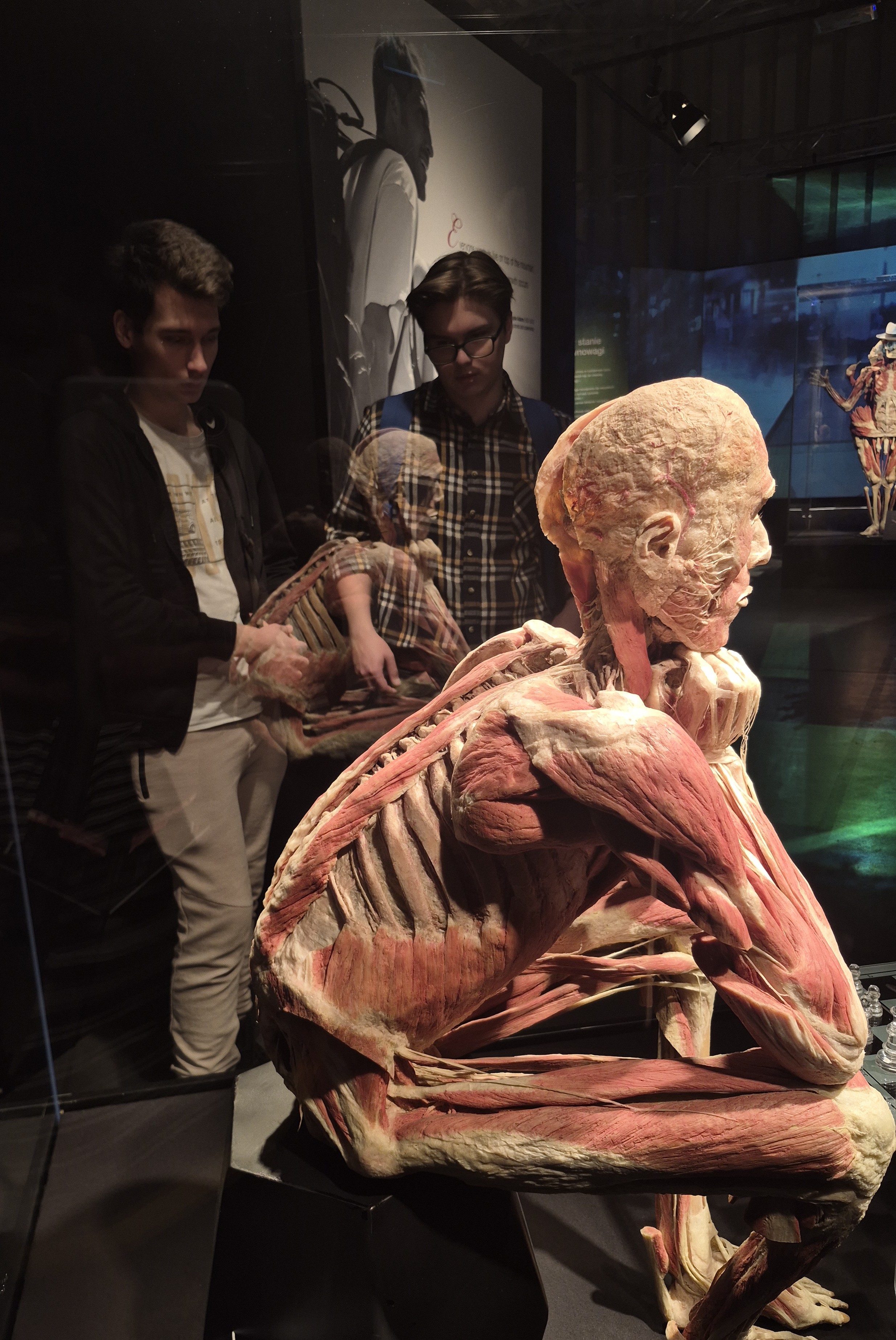 anatomia czlowieka w praktyce 7