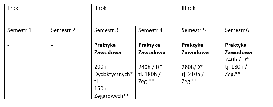 praktyki licencjat 3 rok