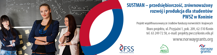 stustman baner internetowy14