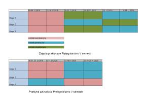 Harmonogramy praktyk - II i III rok pielęgniarstwa 1